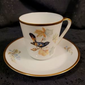 Hutschenreuther Selb Germany Noblesse Pasco Flat Cup & Saucer Audubon "Redstart"